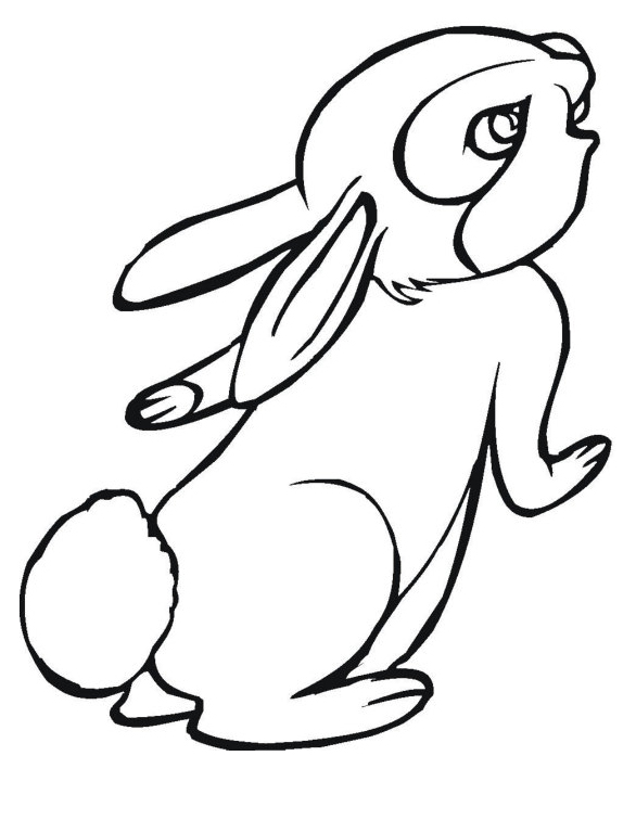 planse desene de colorat cu iepuri